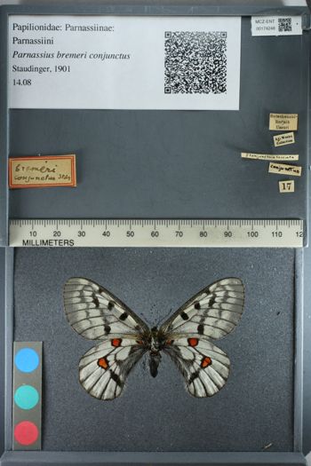 Media type: image;   Entomology 174248